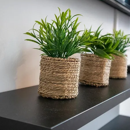 Milia Stare * Bielsko-Biala